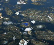 ������Ⱦ,��Ԯ,��Ƶ