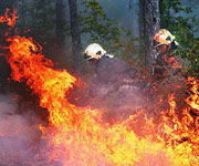 ɭ�ֻ���,��Ԯ,��Ƶ