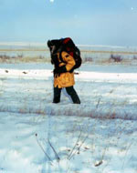 �׵�����·��