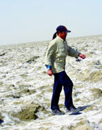 �׵�����·��